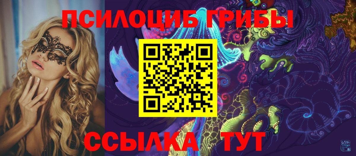 Галлюциногенные грибы GOLDEN TEACHER Гурьевск
