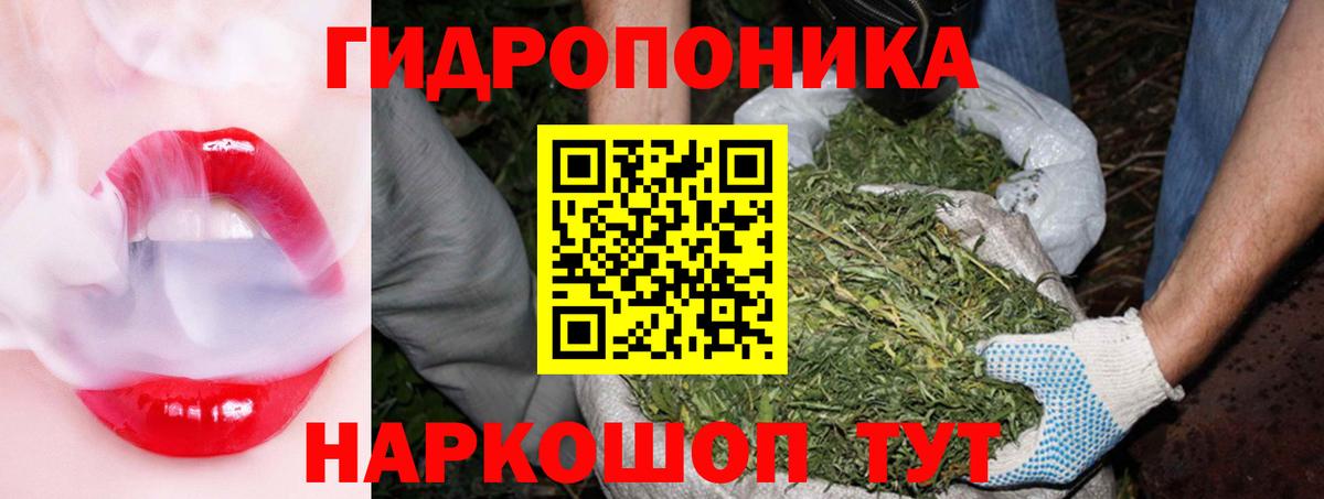 Конопля индика Гурьевск